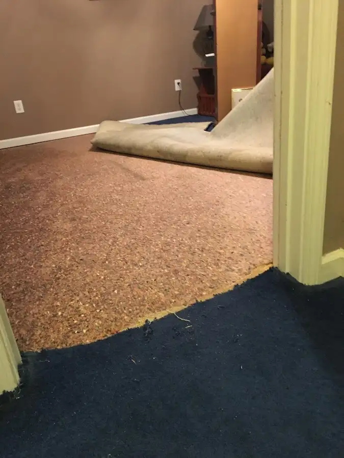 Carpet pad removal revealing water damage during Drying & Dehumidification in Biddeford